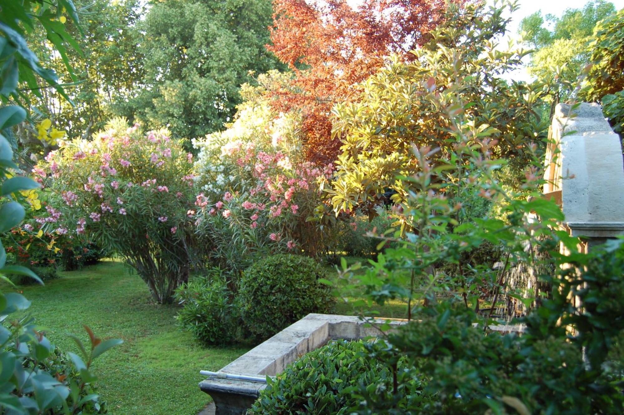 Le Mas Ferrand Graveson Exterior photo