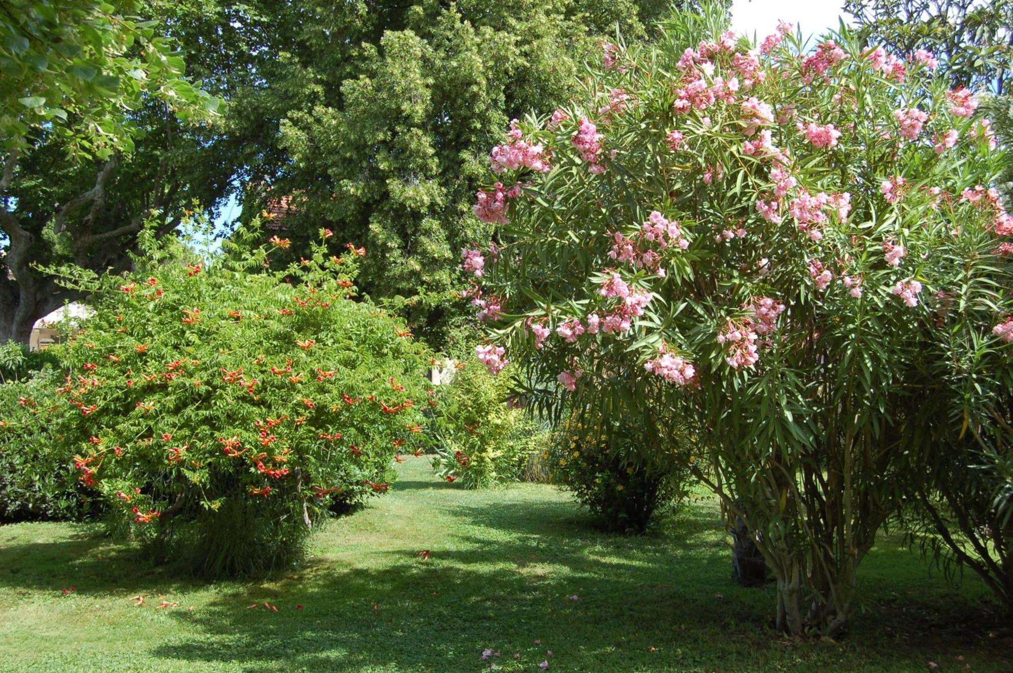 Le Mas Ferrand Graveson Exterior photo
