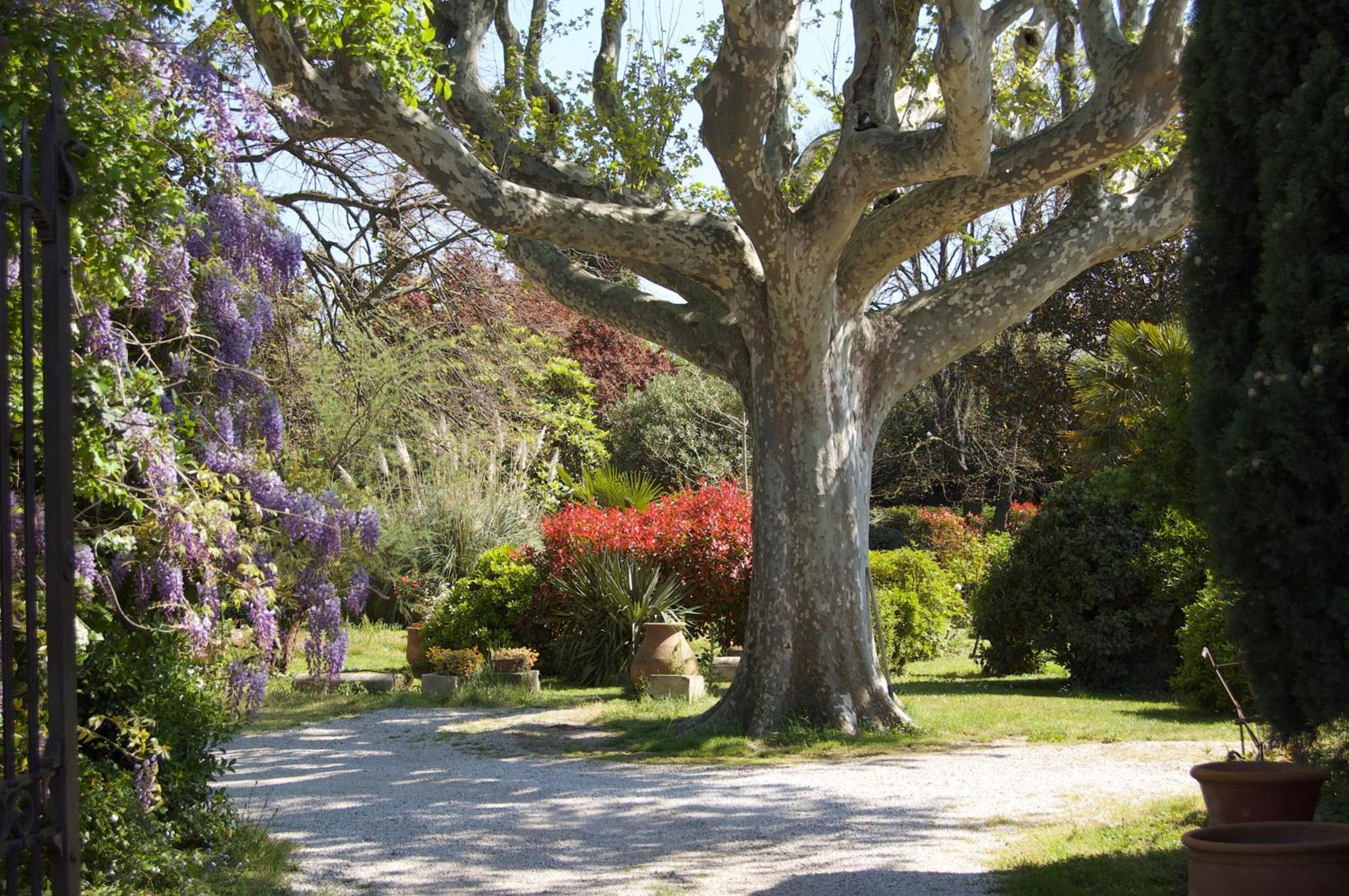 Le Mas Ferrand Graveson Exterior photo