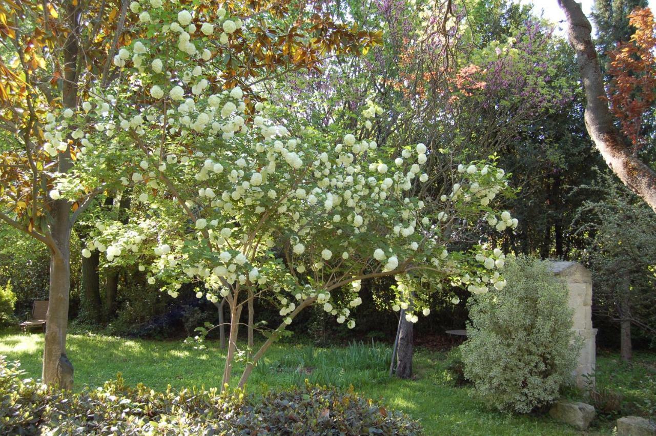 Le Mas Ferrand Graveson Exterior photo